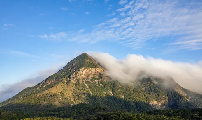 大嶼山郊野公園翠綠山巒連綿起伏，行山途中可飽覽壯闊海景，係遠離市區煩囂嘅理想去處