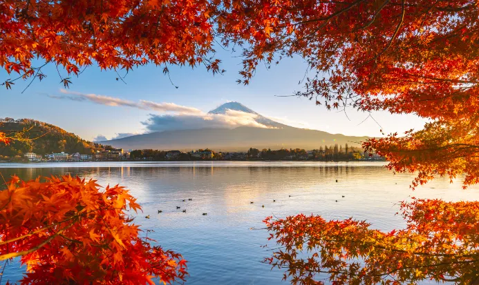 河口湖湖面倒映富士山,花火大會嘅最佳背景 河口湖湖面倒映富士山,花火大會嘅最佳背景
