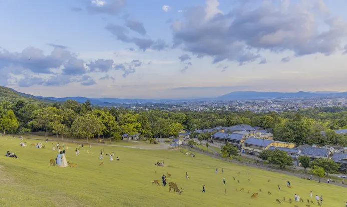 奈良若草山俯瞰市街與秋色 奈良若草山俯瞰市街與秋色