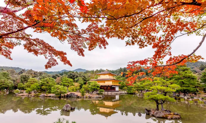 京都金閣寺秋季紅葉景觀 京都金閣寺秋季紅葉景觀