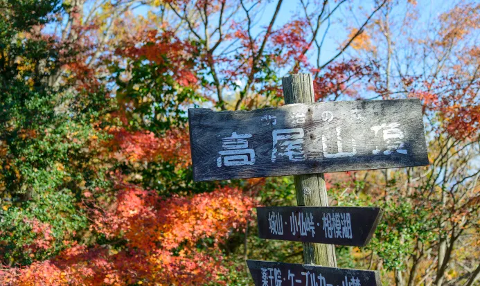 高尾山秋季紅葉登山道