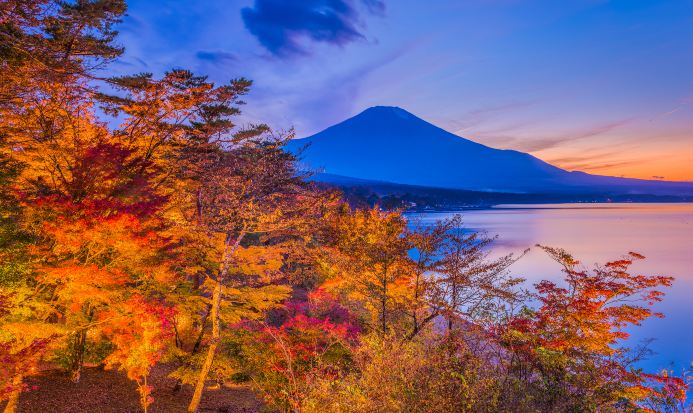 東京富士山自然風光 東京富士山自然風光