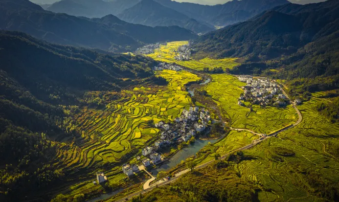 婺源江嶺的梯田與村落秋景 婺源江嶺的梯田與村落秋景