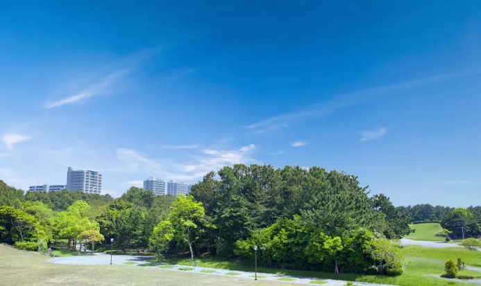 千葉市美濱區幕張海濱一帶的公園景緻,市集會場亦位於同一區域 千葉市美濱區幕張海濱一帶的公園景緻,市集會場亦位於同一區域