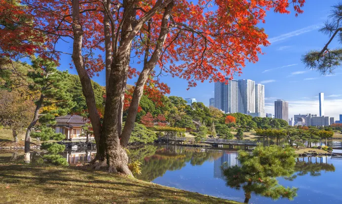 東京濱離宮恩賜庭園臨海而建，鄰近市區主要交通樞紐