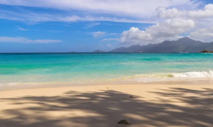 阿真海灘清澈海水,座間味浮潛熱點 阿真海灘清澈海水,座間味浮潛熱點