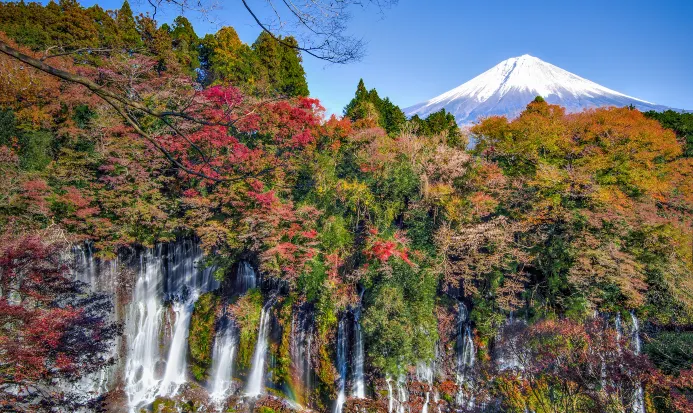 東京秋日的樹木與戶外花海景緻 東京秋日的樹木與戶外花海景緻