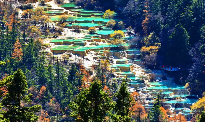 黃龍風景區鈣華彩池景觀 黃龍風景區鈣華彩池景觀