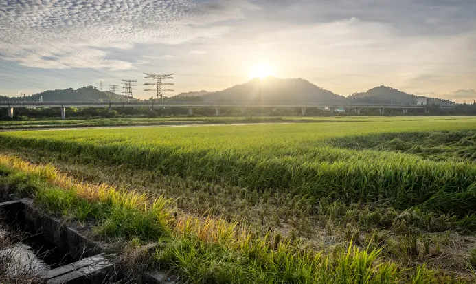 南朗崖口村的村口景色 南朗崖口村的村口景色
