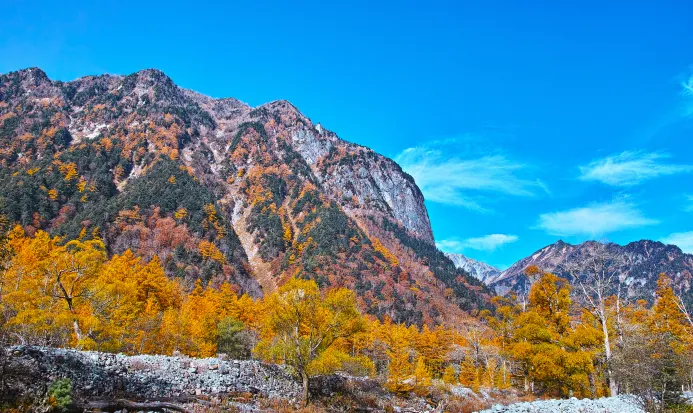 立山黑部阿爾卑斯山脈秋季紅葉遠景 立山黑部阿爾卑斯山脈秋季紅葉遠景