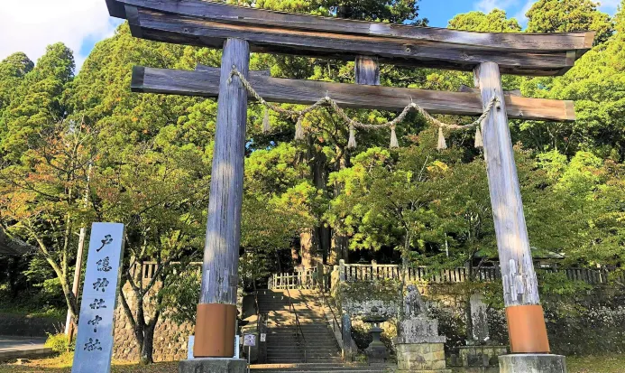 長野戶隱神社一帶嘅冬日山林 長野戶隱神社一帶嘅冬日山林