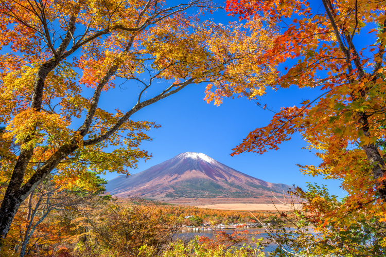 日本自然風，九州溫泉鄉的秀麗景致