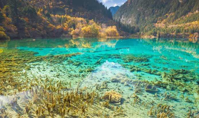 九寨溝風景區翠綠湖水與自然風光 九寨溝風景區翠綠湖水與自然風光