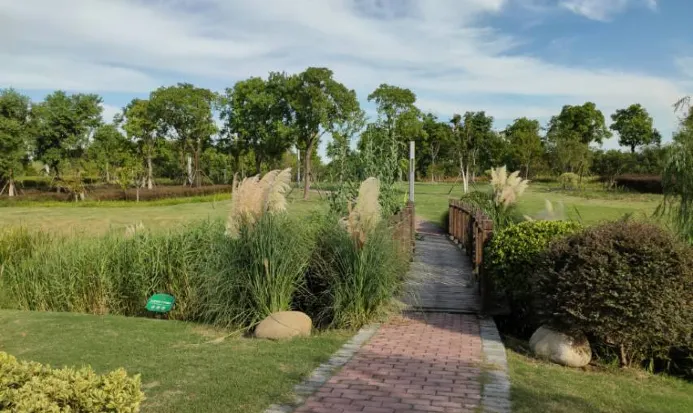 上海植物園秋季紅葉與園林建築
