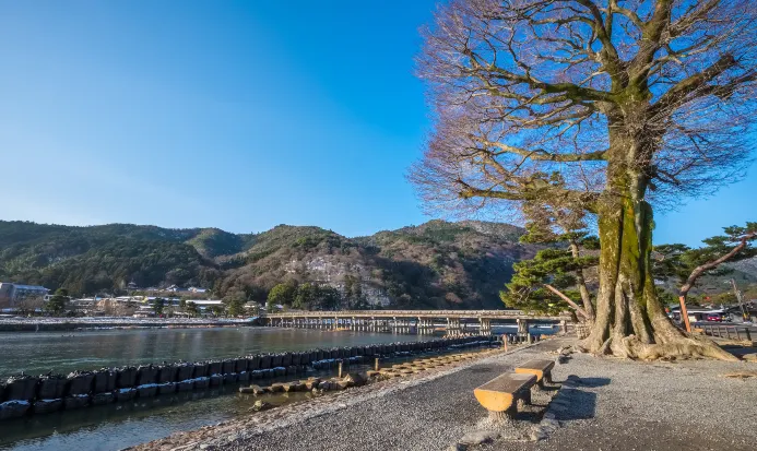 嵐山渡月橋與桂川的秋季景色 嵐山渡月橋與桂川的秋季景色
