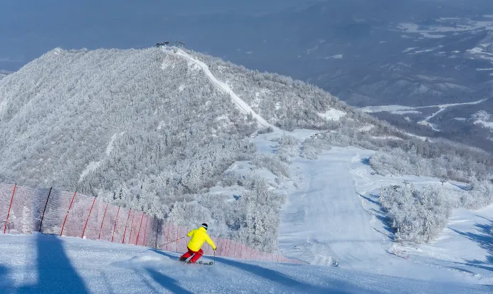 亞布力滑雪旅遊度假區雪道廣闊,係永安冬季哈爾濱團常安排嘅滑雪地點 亞布力滑雪旅遊度假區雪道廣闊,係永安冬季哈爾濱團常安排嘅滑雪地點