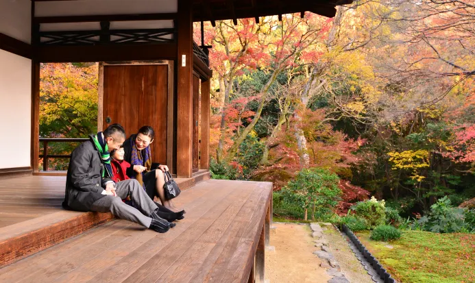 東福寺楓葉與寺院建築 東福寺楓葉與寺院建築