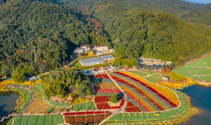 從化石門國家森林公園秋日層林景色 從化石門國家森林公園秋日層林景色