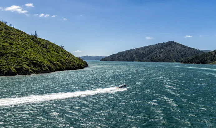 庫克海峽風光,郵輪停靠皮克頓時可見的壯麗海景 庫克海峽風光,郵輪停靠皮克頓時可見的壯麗海景