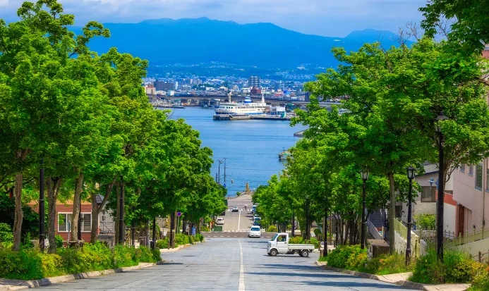 北海道秋季自然風光