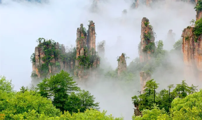 天子山的雲海與石英砂岩峰林 天子山的雲海與石英砂岩峰林