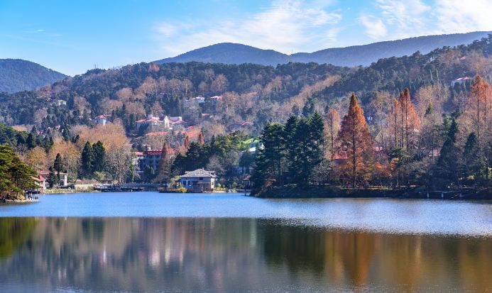 江西廬山如琴湖晨霧美景 江西廬山如琴湖晨霧美景