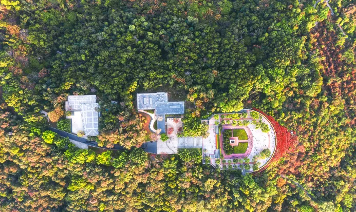 深圳蓮花山公園綠意盎然嘅登山步道 深圳蓮花山公園綠意盎然嘅登山步道