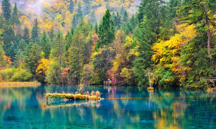 九寨溝五花海，湖水呈現藍綠橙等多種色彩