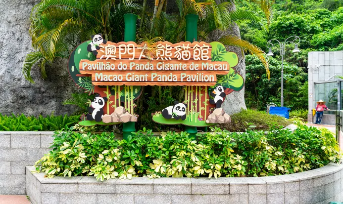 澳門大熊貓館的室內活動區