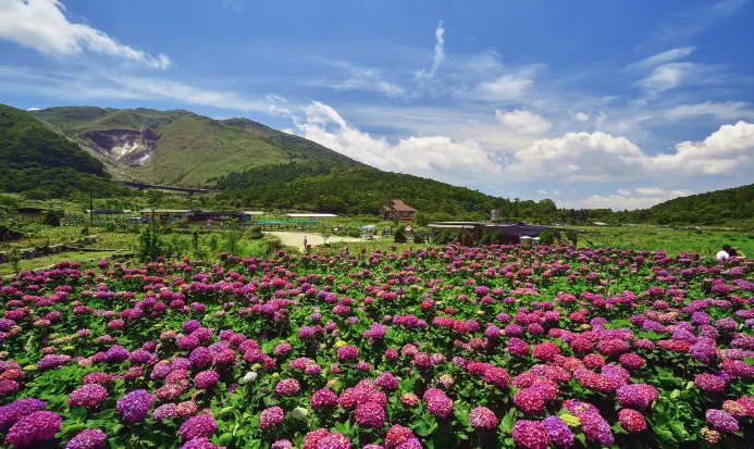 陽明山國家公園自然風光 陽明山國家公園自然風光