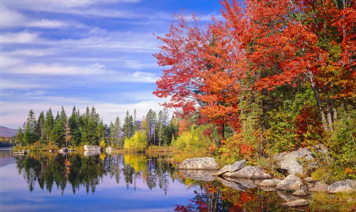 大阪秋季紅葉湖景