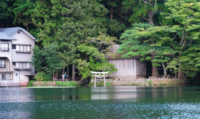 由布院金鱗湖，清晨薄霧美景