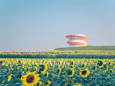 #20#深圳——光明小镇欢乐田园