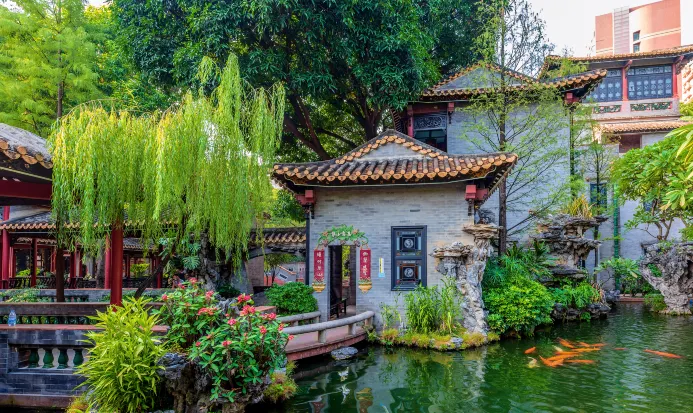 清暉園內池塘錦鯉，嶺南園林景緻優美