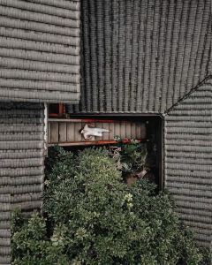 成都錦投·古蹟酒店（春熙路太古裏店）5天4晚自由行套票