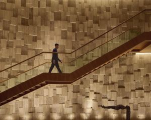 香港-金奈自由行 新加坡航空公司+金奈柏悦酒店