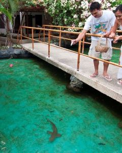 【藍水馬裏巴哥海灘度假村】宿霧 3-7天自由行套票