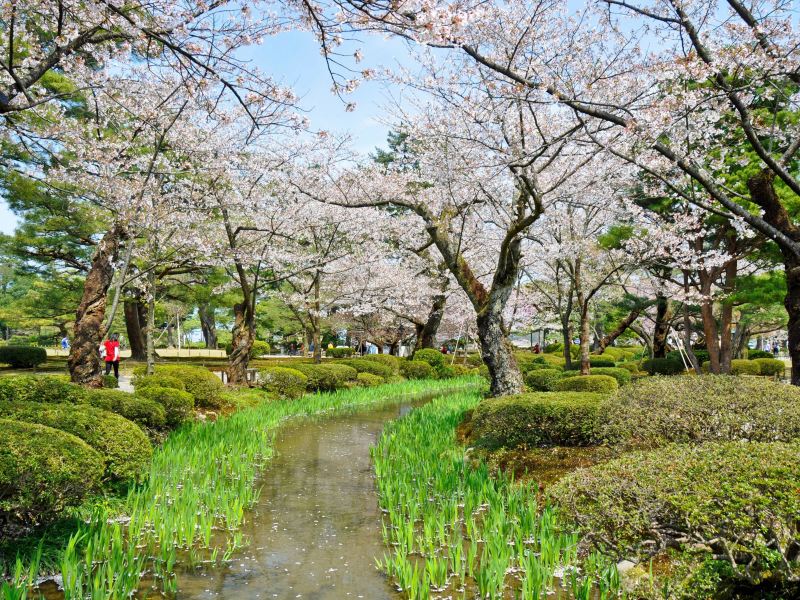 白川鄉