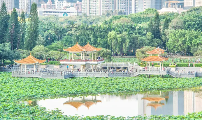 以荷花主題見稱嘅深圳洪湖公園 以荷花主題見稱嘅深圳洪湖公園