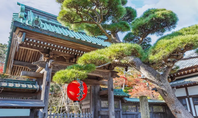 鎌倉長谷寺的庭園與觀音堂一帶 鎌倉長谷寺的庭園與觀音堂一帶
