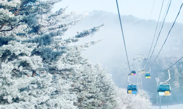 平昌發旺山嘅冬季雪景 平昌發旺山嘅冬季雪景