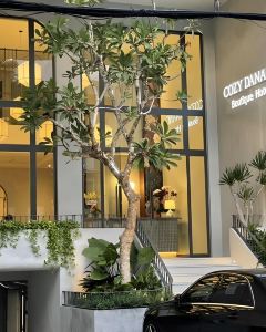 【舒適峴港精品酒店】峴港 3-7天自由行套票