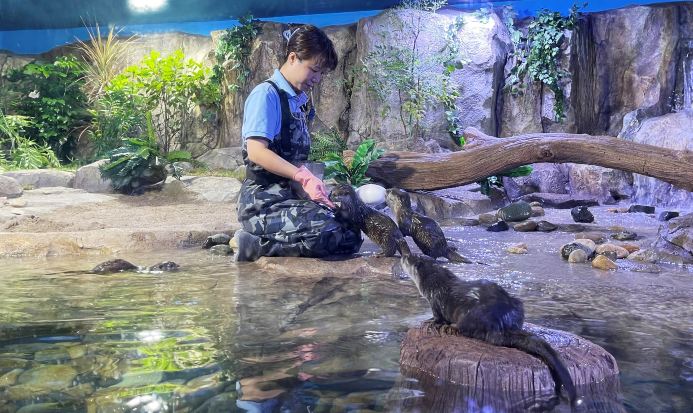 水族館
