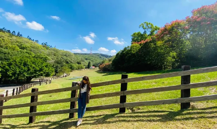 飛牛牧場園區景色