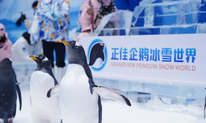 正佳企鵝冰雪世界館內一角