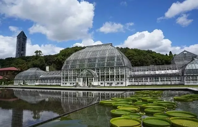 名古屋東山動植物園秋季園林一景 名古屋東山動植物園秋季園林一景