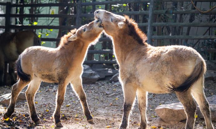 動物園