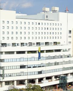 【德島微笑酒店】德島 4-7天自由行套票