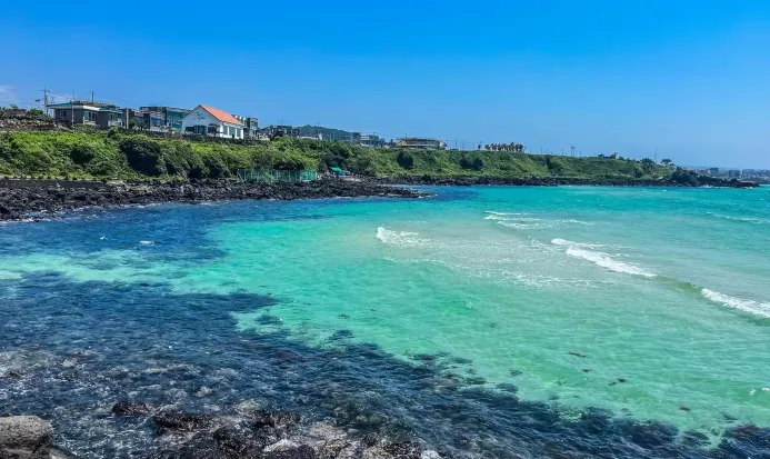 濟州島涯月咖啡街沿海公路 濟州島涯月咖啡街沿海公路