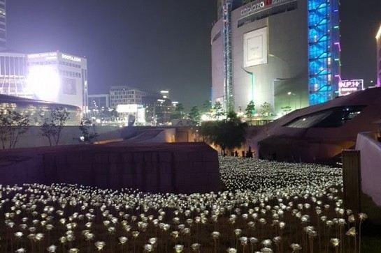 東大門設計廣場(限定LED玫瑰花海)